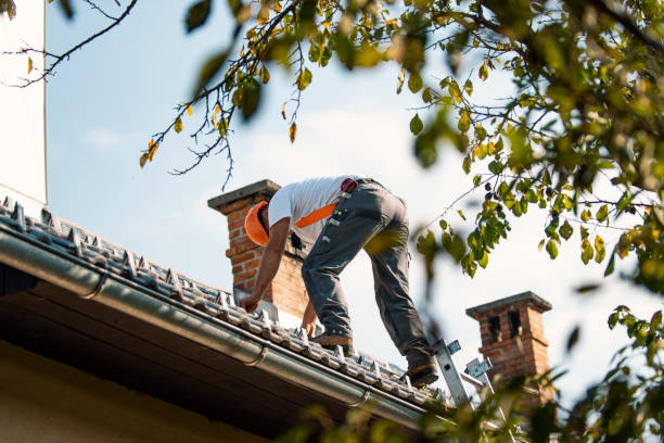 Best Roof Leak Repair  in Kingston, TN