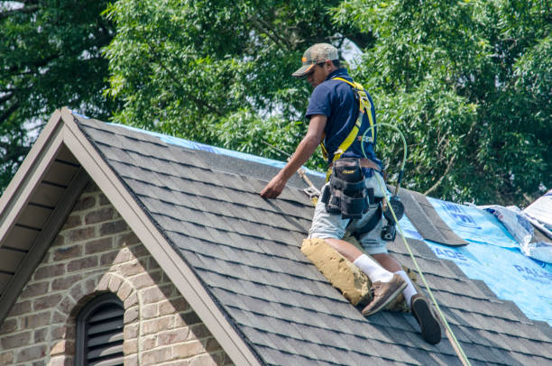 Best Gutter Installation and Roofing  in Kingston, TN